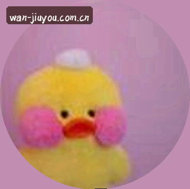 梦琪